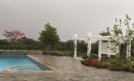 recent happenings_0158