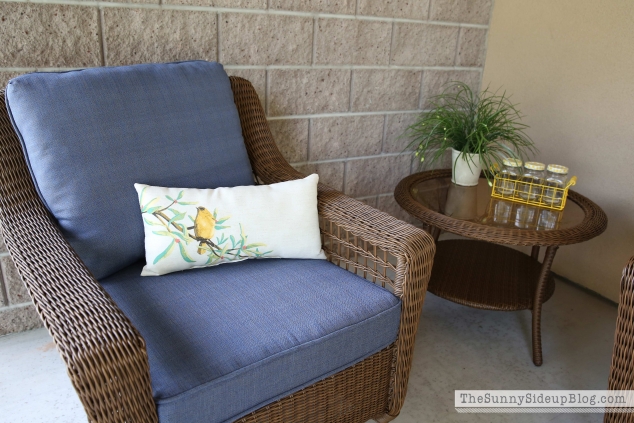 target-bird-pillow
