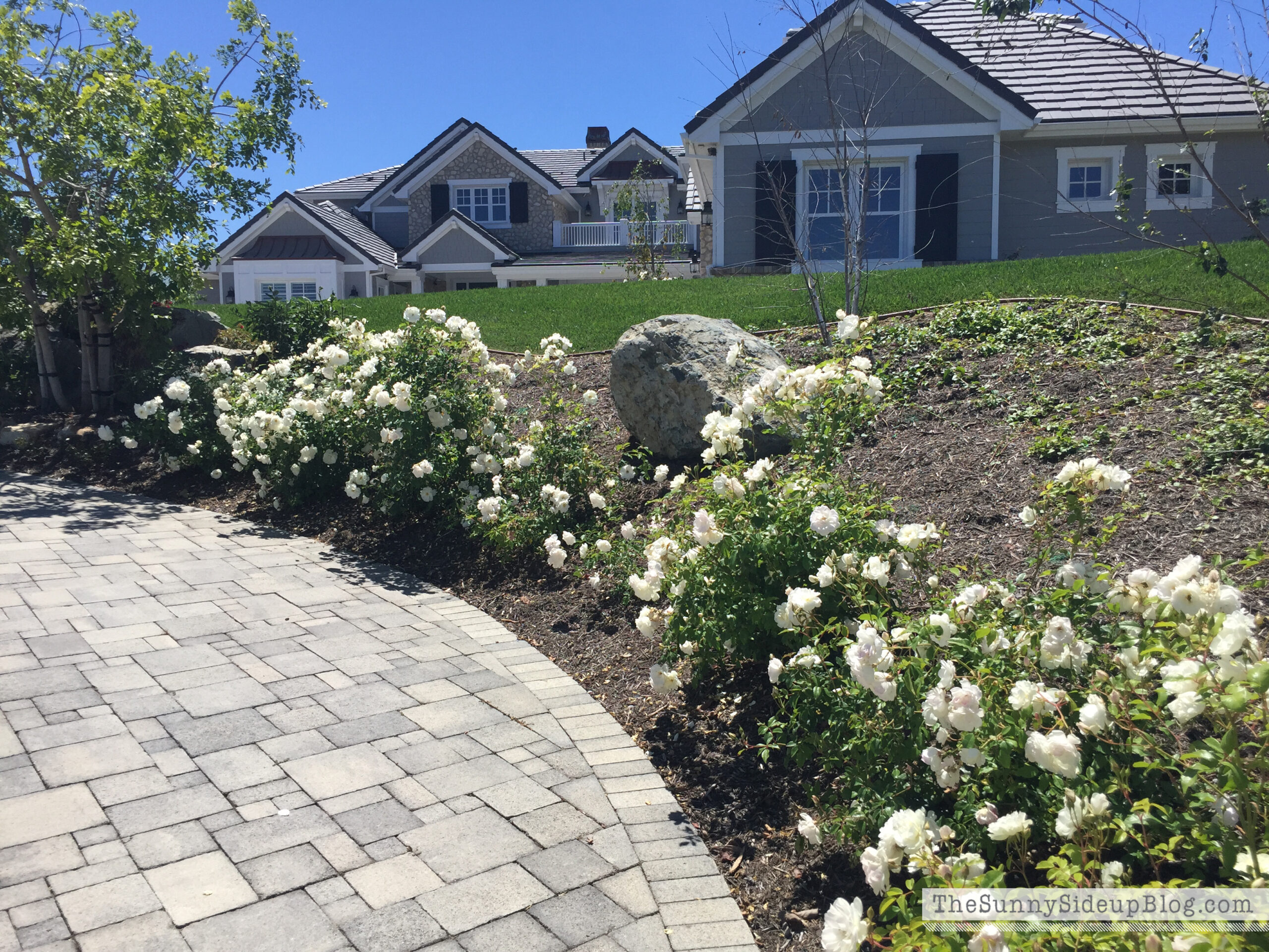 Final countdown! - The Sunny Side Up Blog