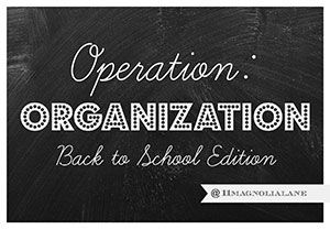 2015-Operation-Organization-BTS