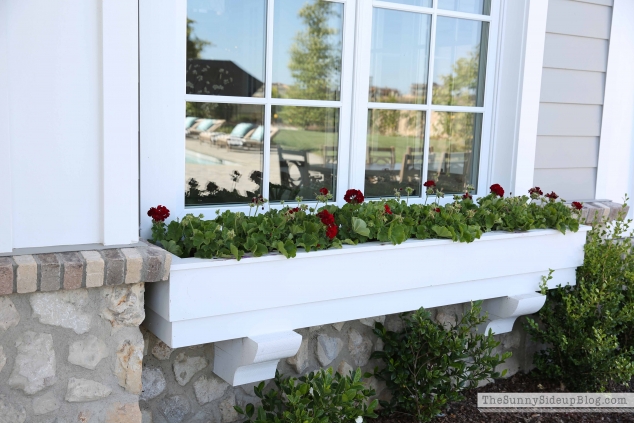 window-boxes