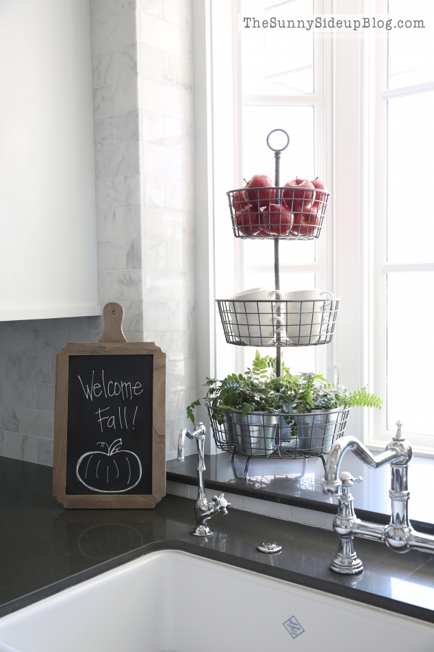 double-shaw-farmhouse-sink