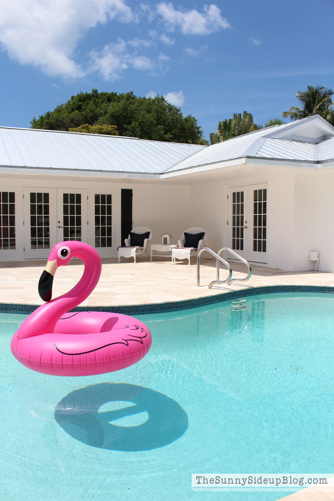 pink-flamingo-floaty