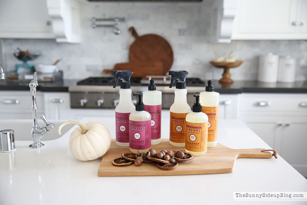 My favorite cleaning products for Fall! - The Sunny Side Up Blog