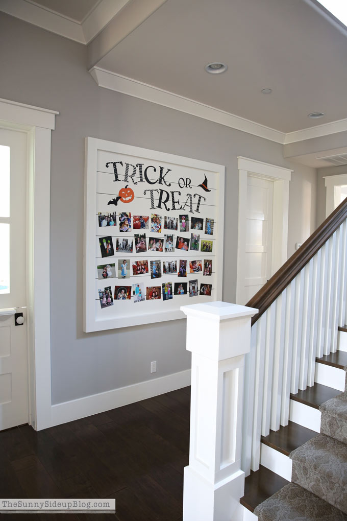 Trick or Treat Shiplap Halloween Picture Display (Sunny Side Up) 