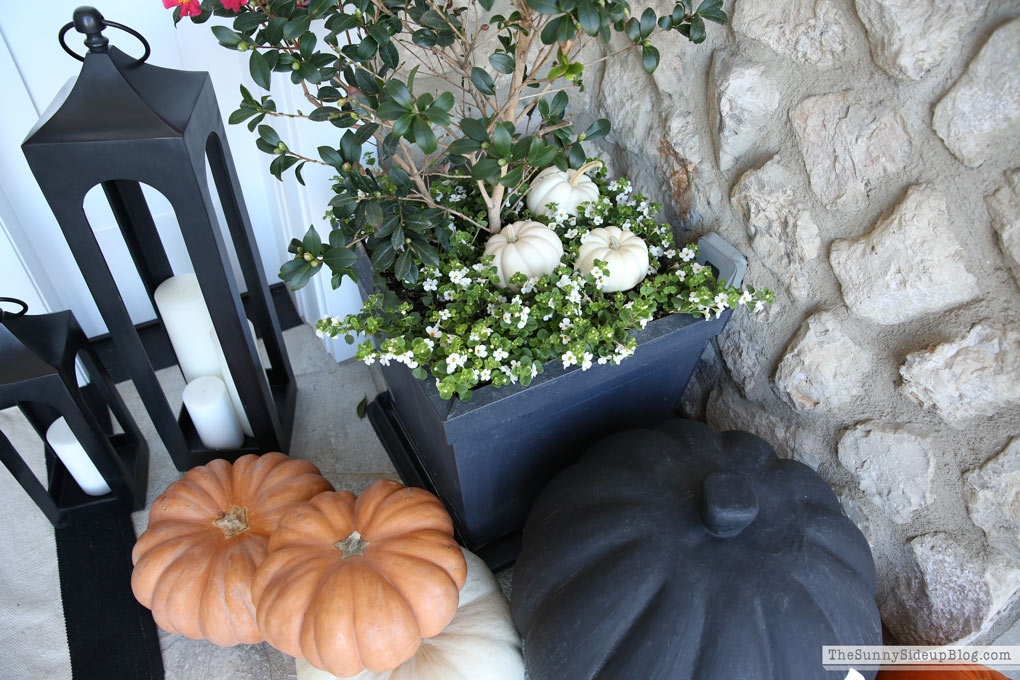 halloween-porch-decor-pottery-barn-lanterns