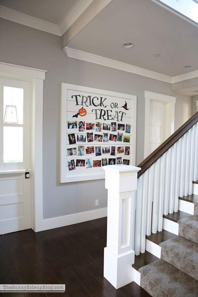 Trick or Treat Shiplap Halloween Picture Display (Sunny Side Up) 