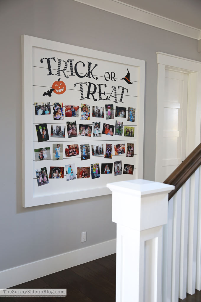 Trick or Treat Shiplap Halloween Picture Display (Sunny Side Up) 