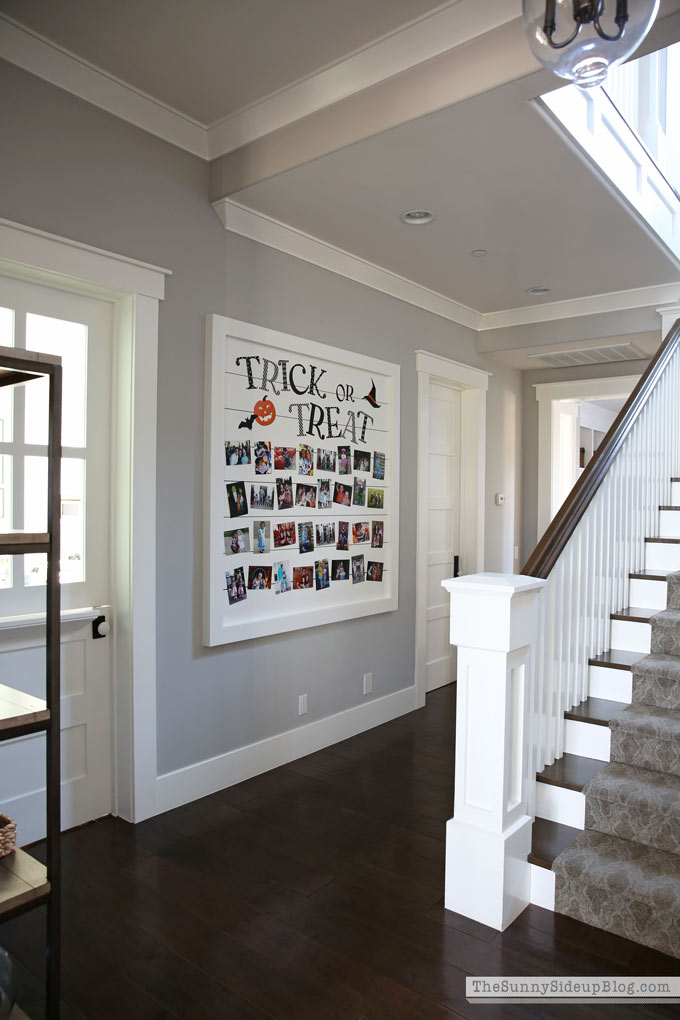Trick or Treat Shiplap Halloween Picture Display (Sunny Side Up) 