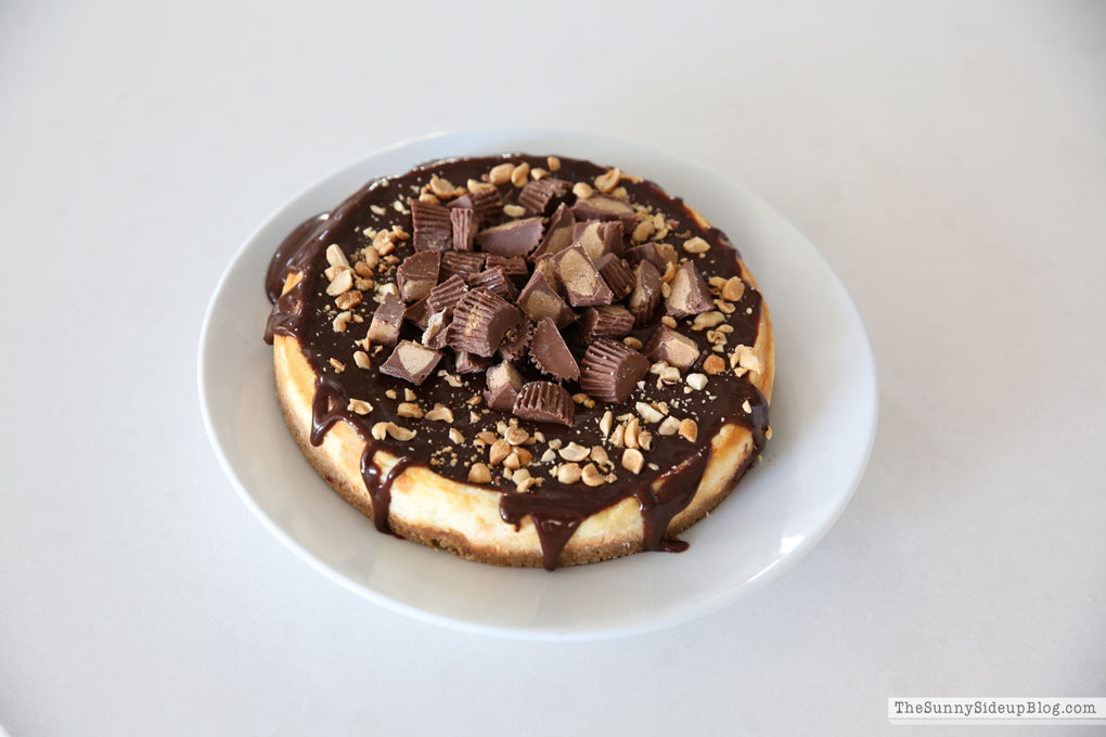 Reeses Peanut Butter Cheesecake