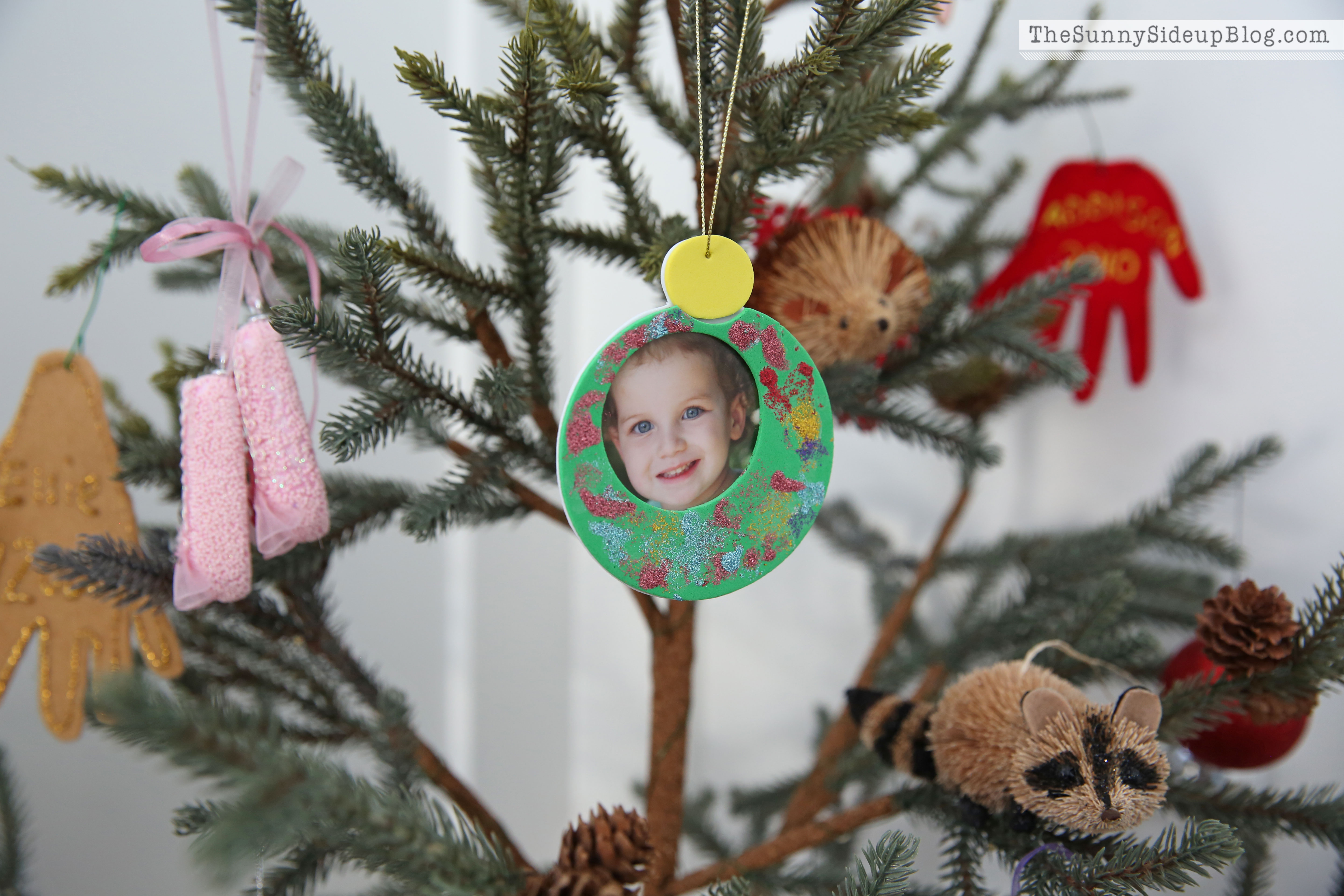 picture ornaments 