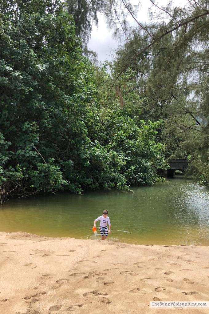 Kauai (Sunny Side Up)