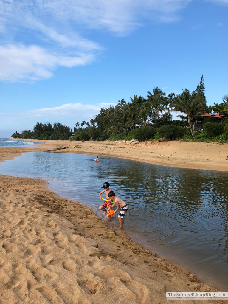 Kauai (Sunny Side Up)