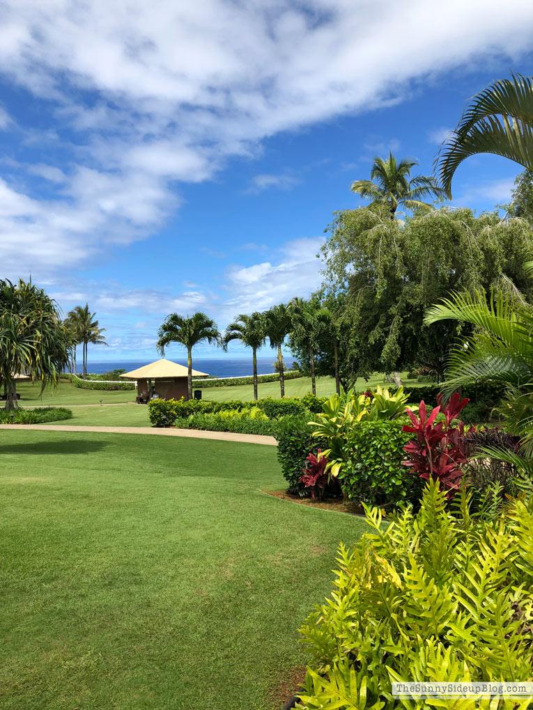 Kauai (Sunny Side Up)