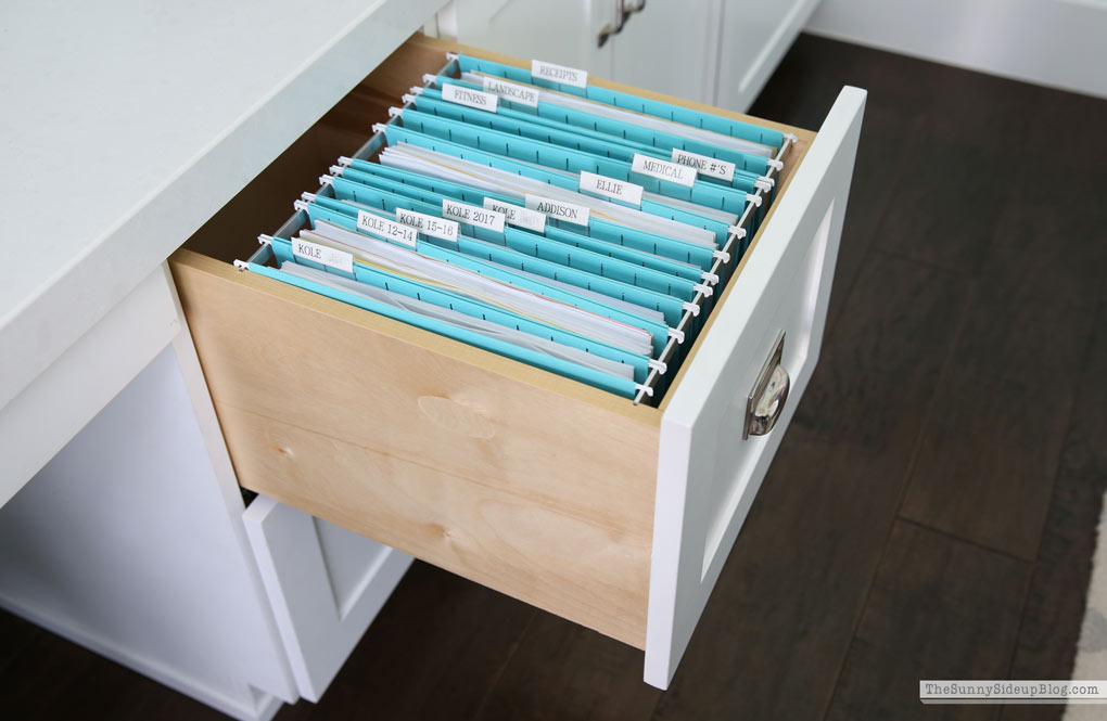 Organized Paper Files