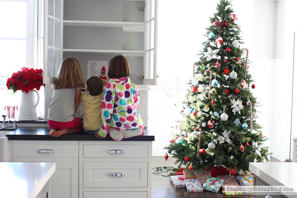 HOLIDAY PLANNER! Includes everything you need to organize your holidays! (Sunny Side Up)