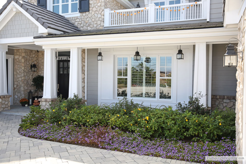 Halloween Porch Decor (Sunny Side Up)