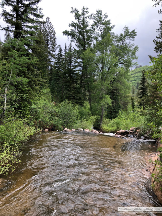 Vacation in Steamboat Springs (Sunny Side Up)