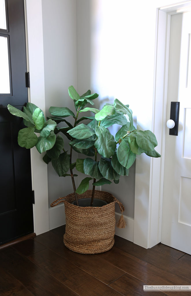 Mudroom Summer Refresh (Sunny Side Up)