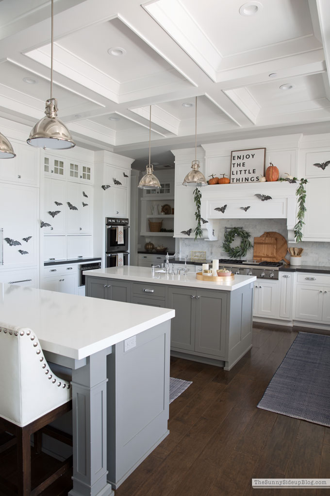 Shiplap Display Wall (Sunny Side Up)