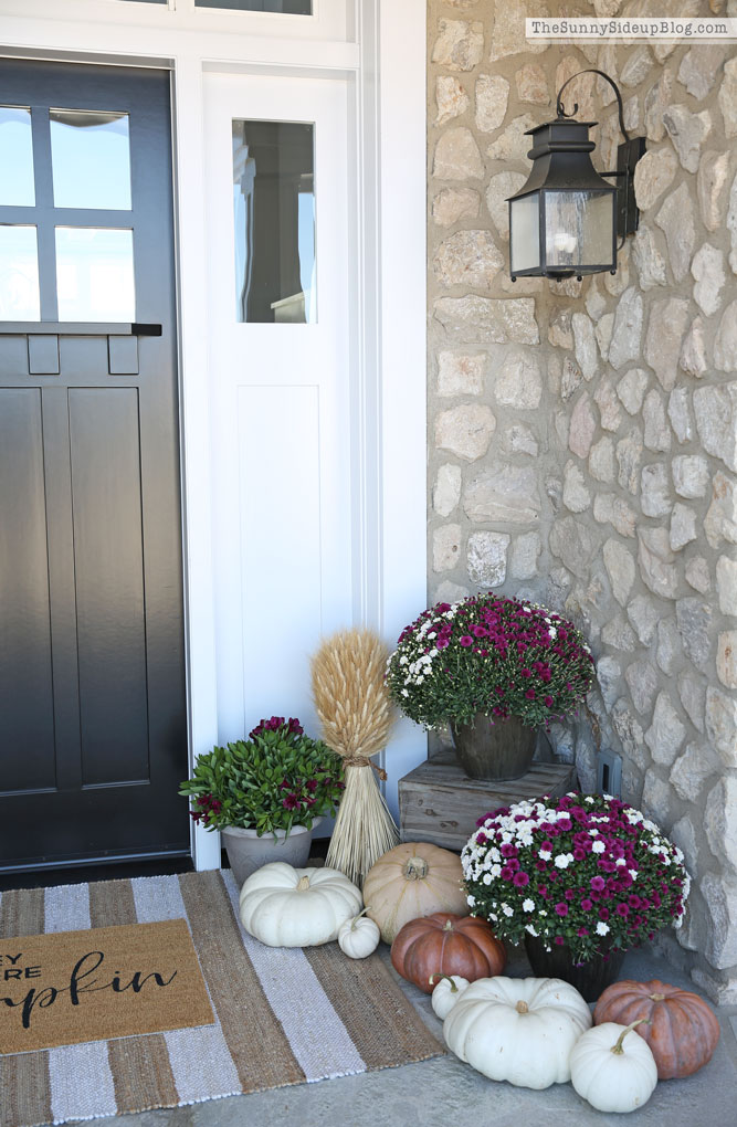 Purple and White Fall Porch (Sunny Side Up)