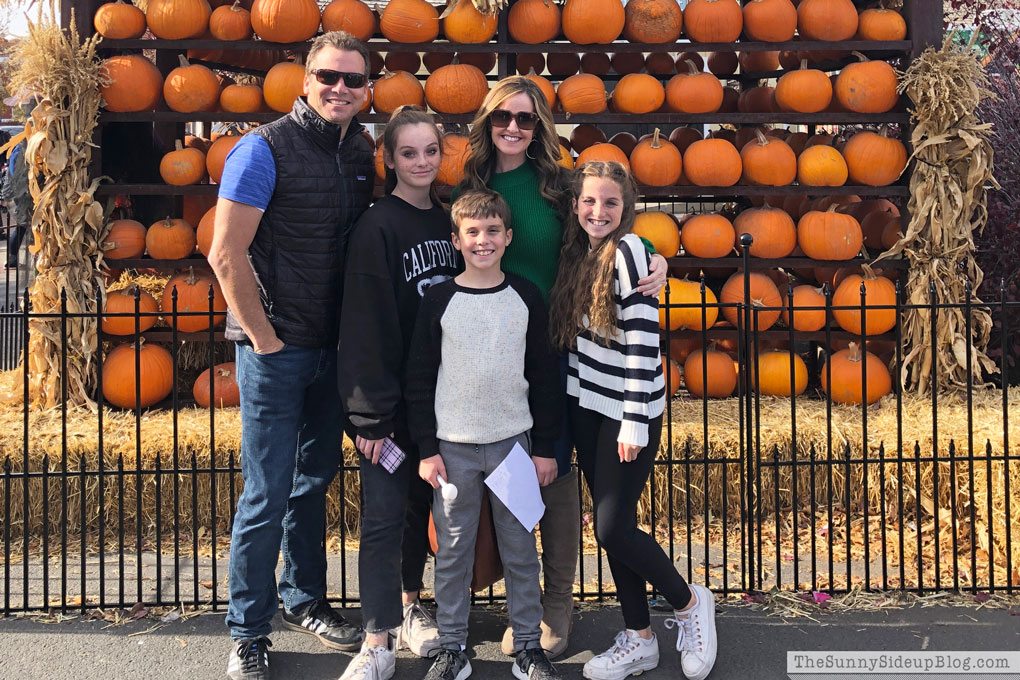 Fall Wrap Up
