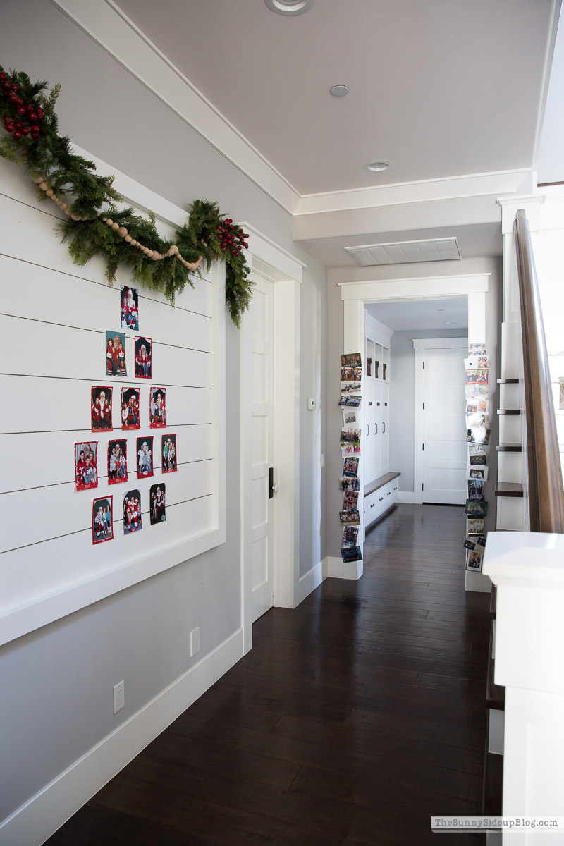 Christmas Card Display Wall (Sunny Side Up)