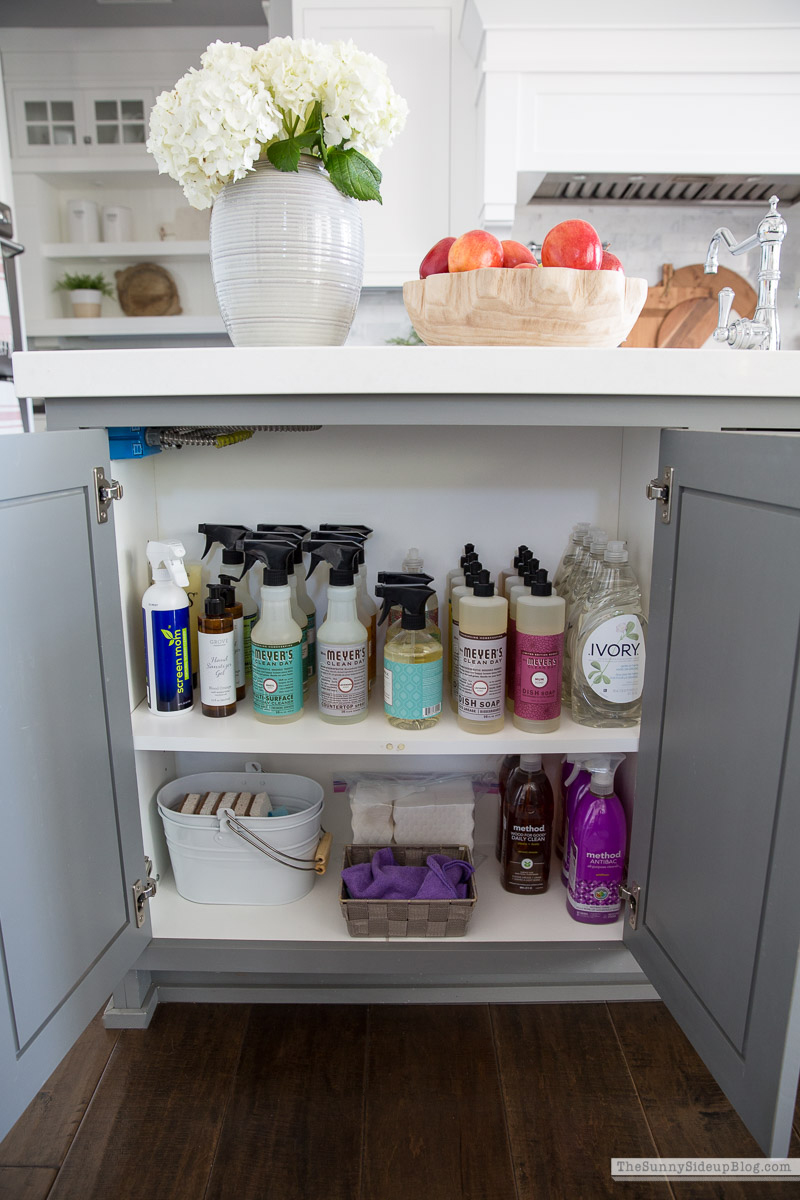 46 Kitchen Cabinet Organization Ideas » Lady Decluttered