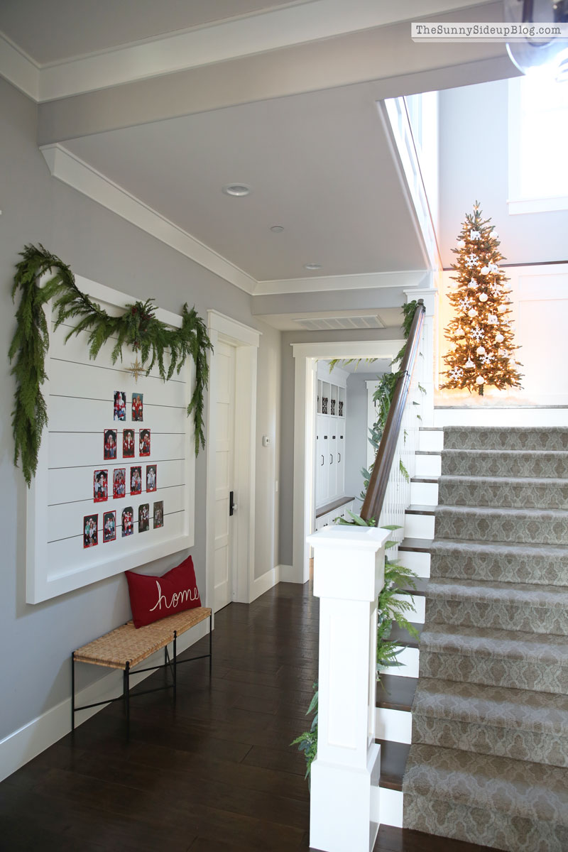 Shiplap Santa picture display (Sunny Side Up)