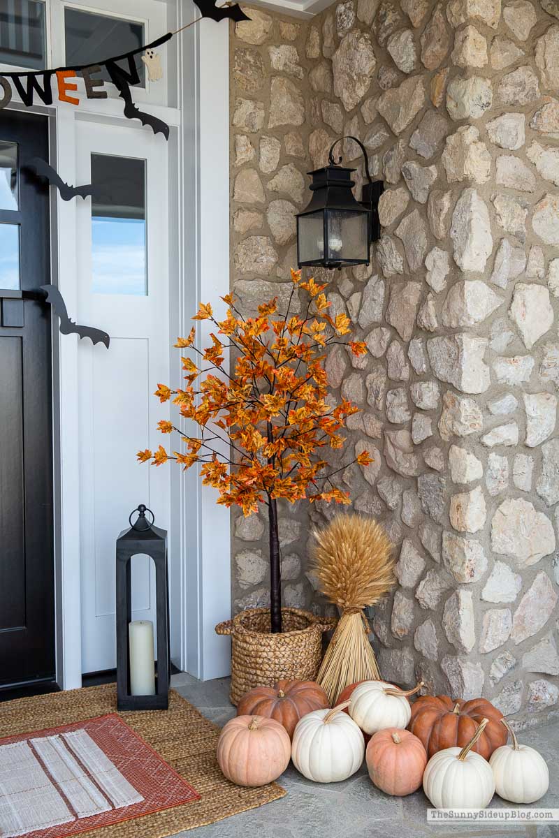 Fall/Halloween Porch (Sunny Side Up)