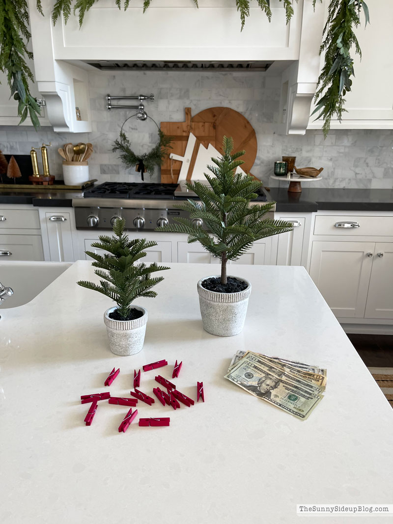 Money Tree Gift Ideas (Sunny Side Up)