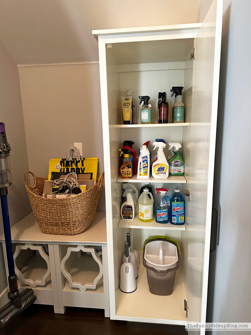 Organized Cleaning Closet (Sunny Side Up)