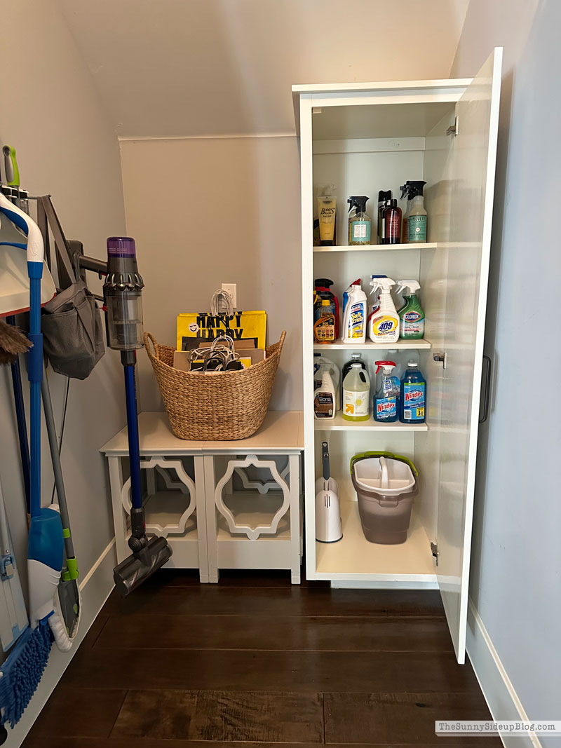 Organized Cleaning Closet (Sunny Side Up)