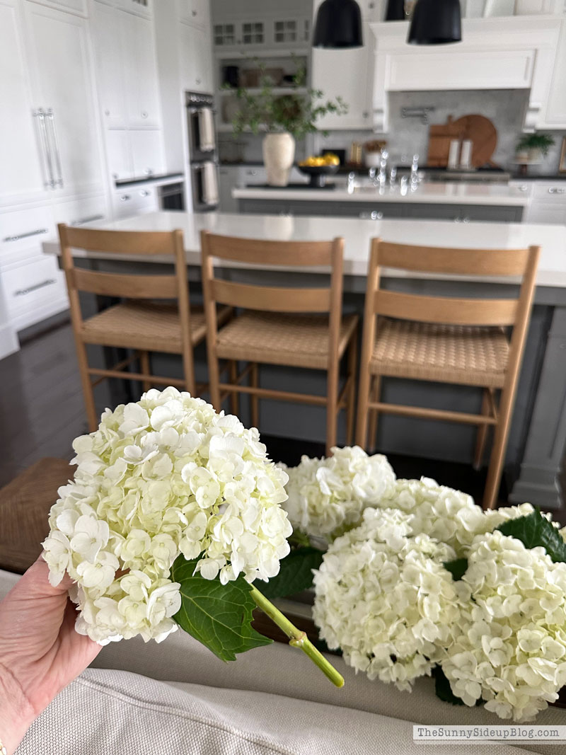 Hydrangea Centerpiece (Sunny Side Up)