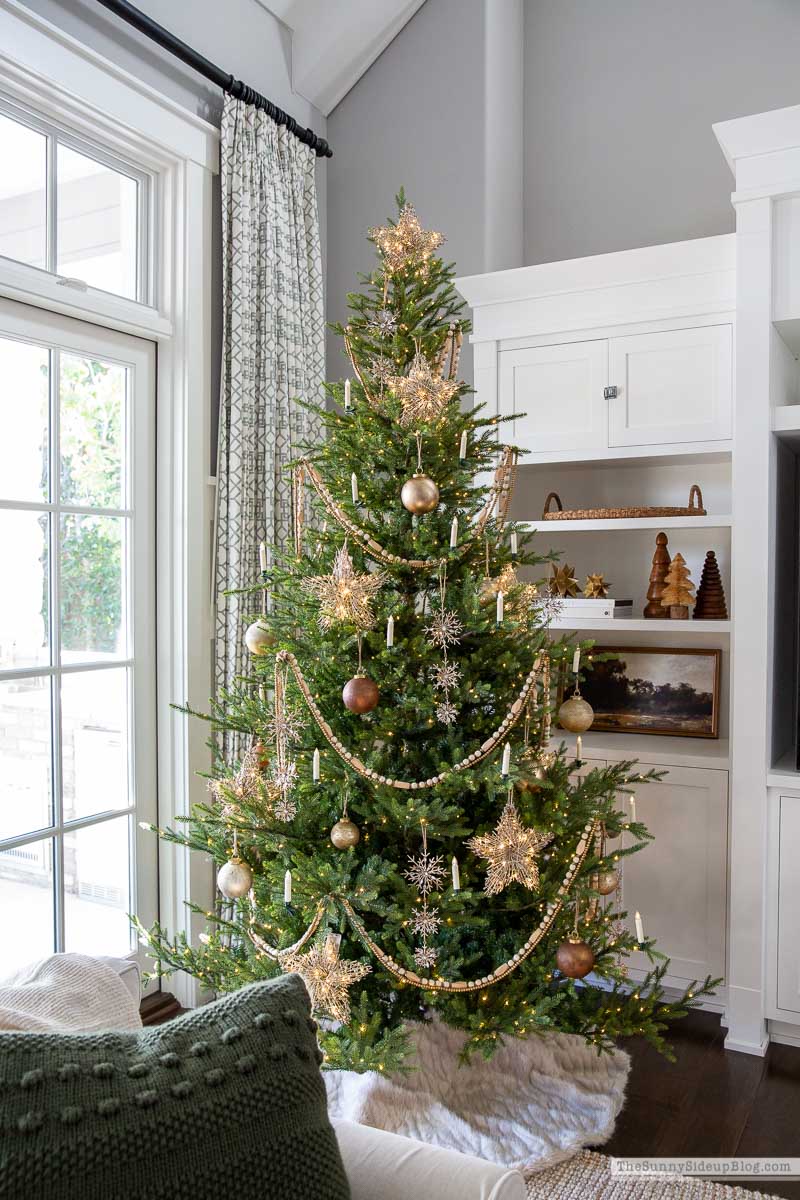 Star Christmas Tree (Sunny Side Up)