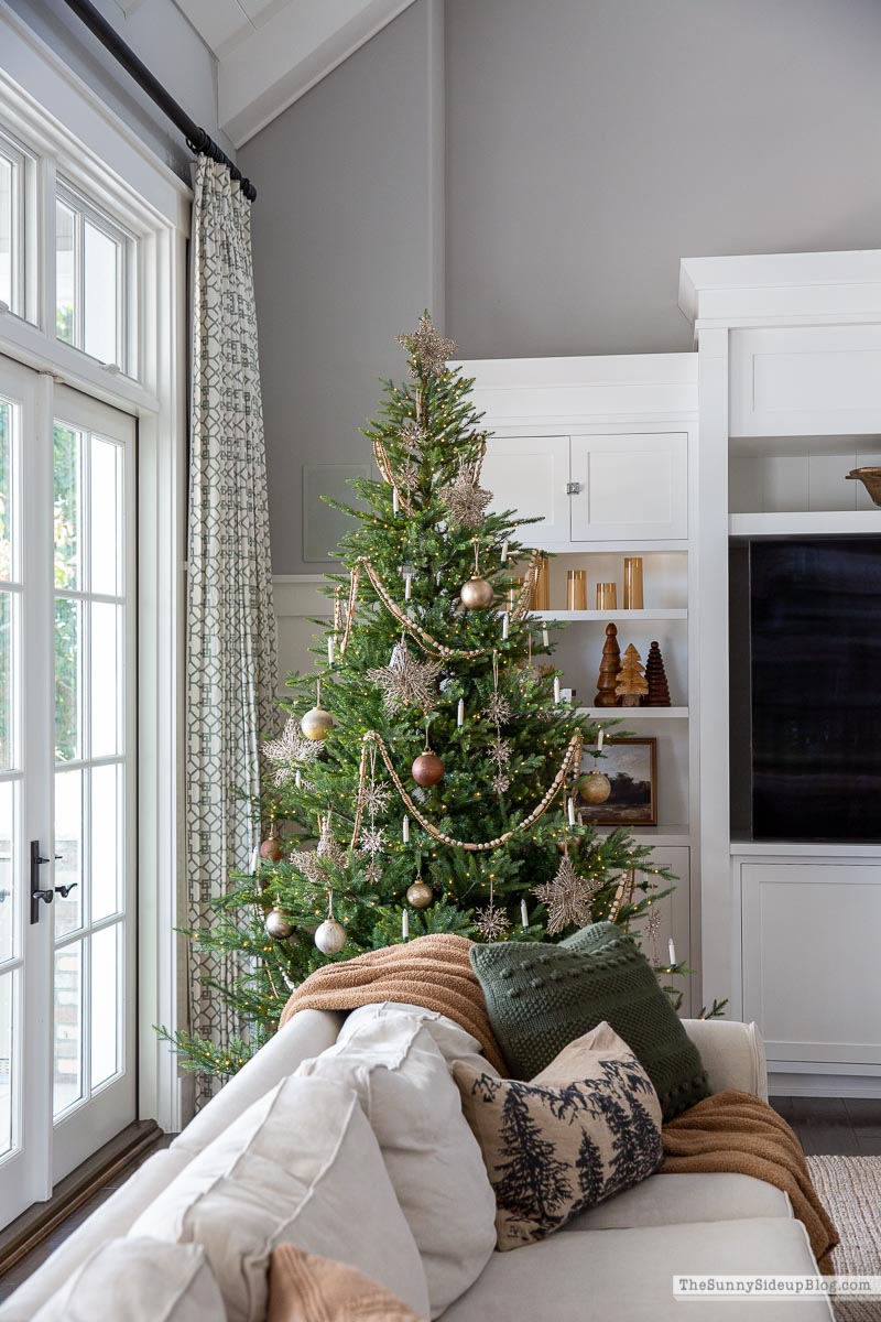 Christmas Family Room (Sunny Side Up)