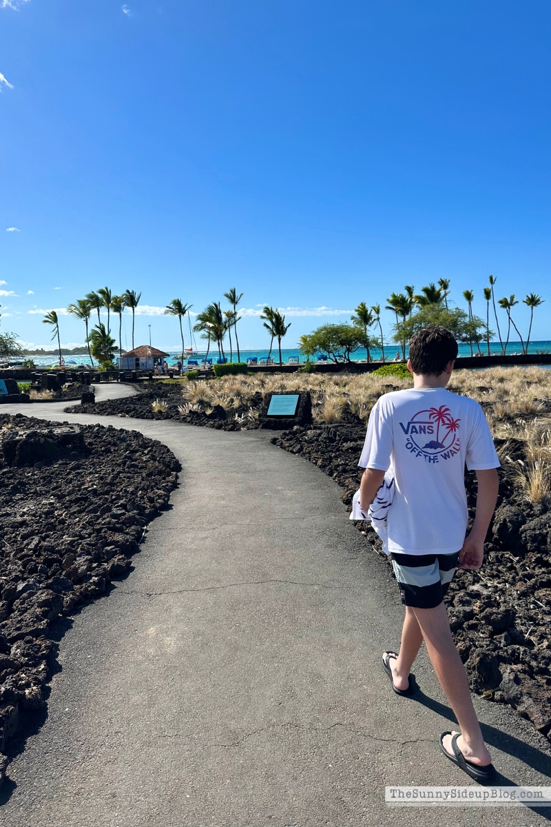 Hawaii big island tips (Sunny Side Up)