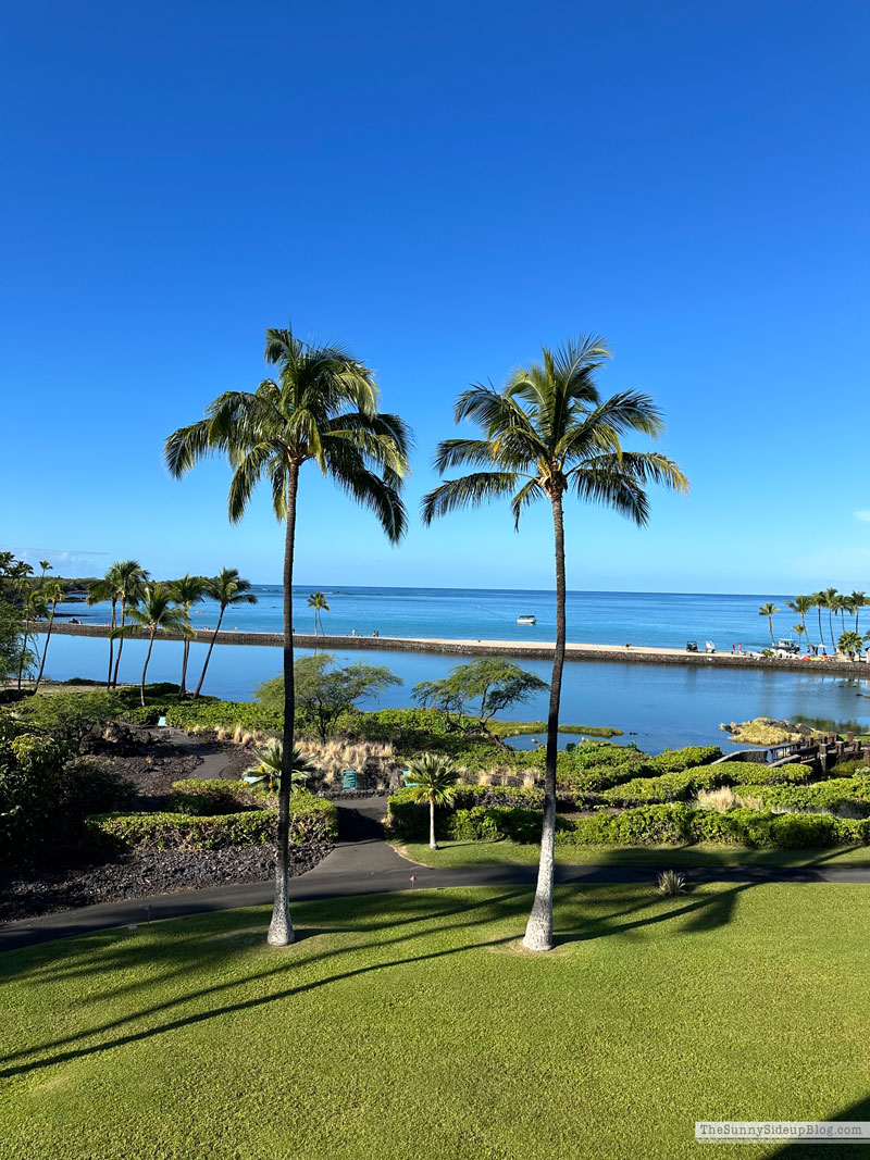 Hawaii big island tips (Sunny Side Up)