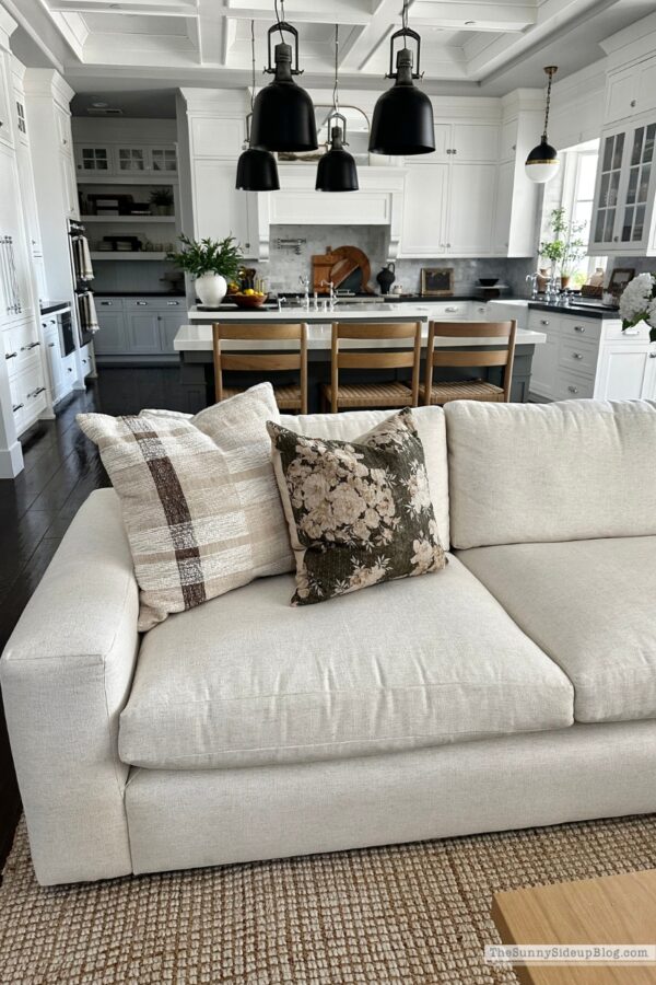 New Family Room Couch - The Sunny Side Up Blog