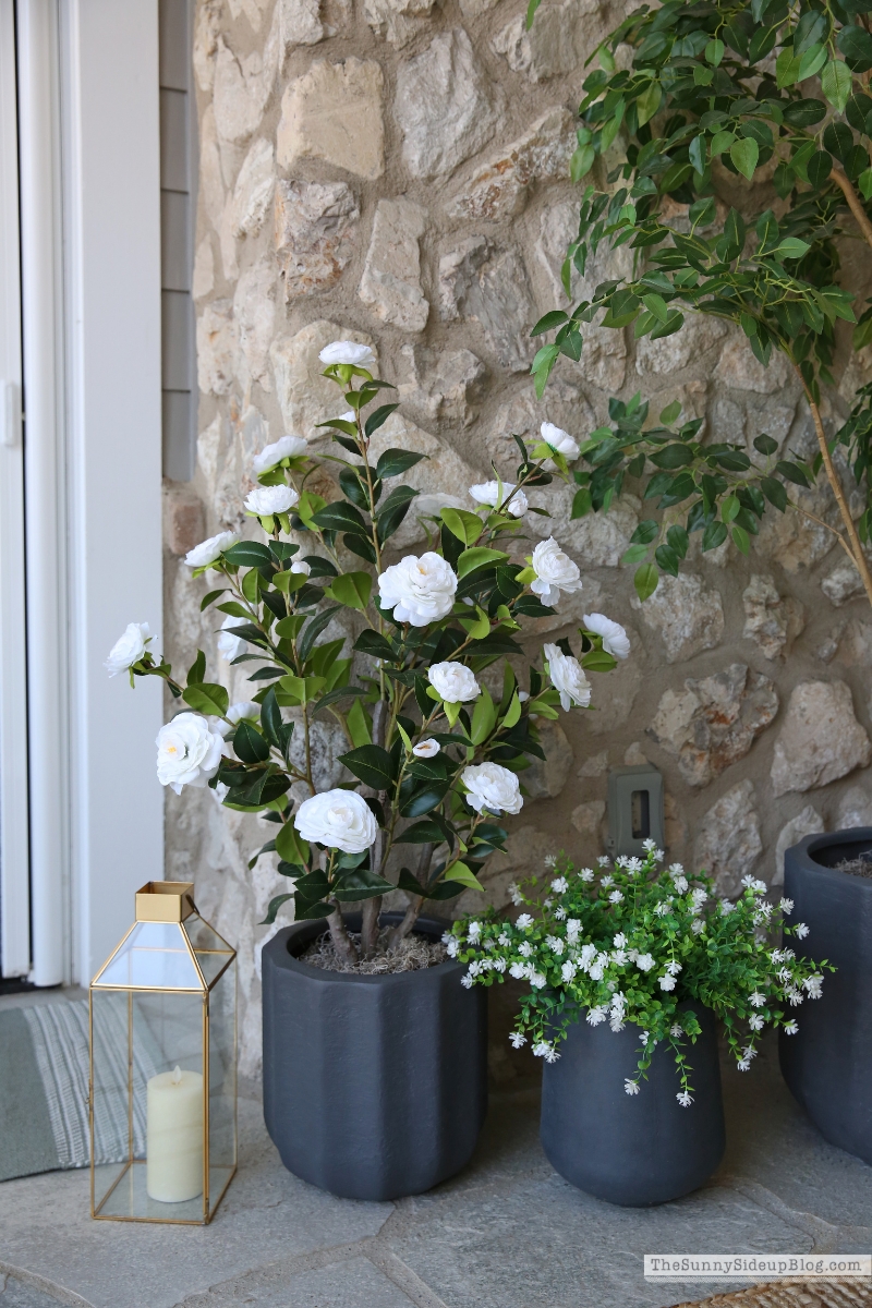 Spring Porch (Sunny Side Up)
