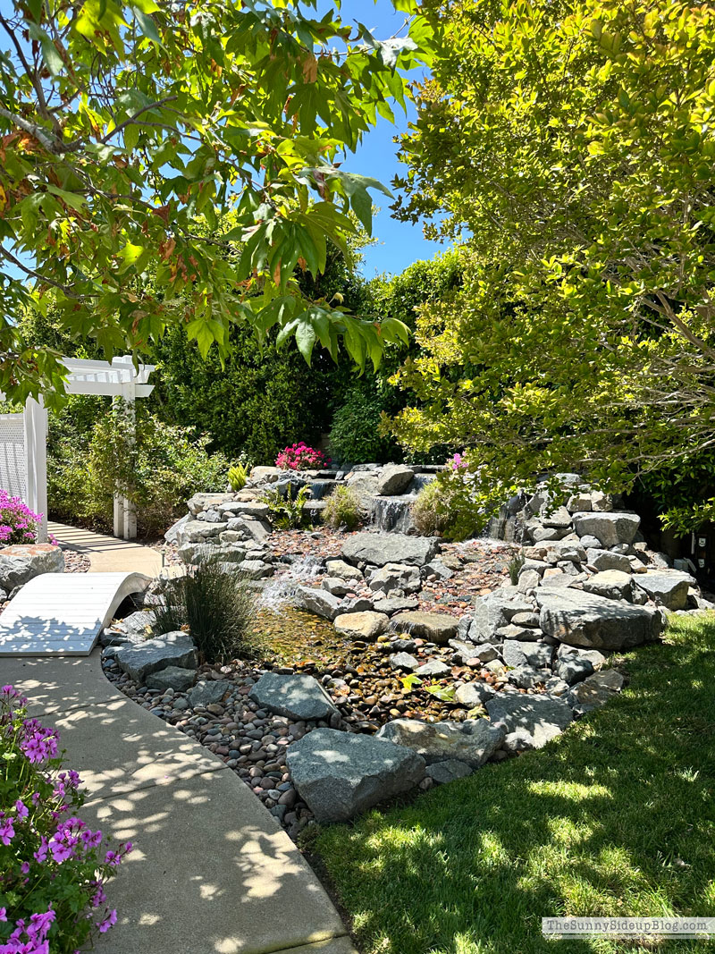 Backyard (Sunny Side Up)