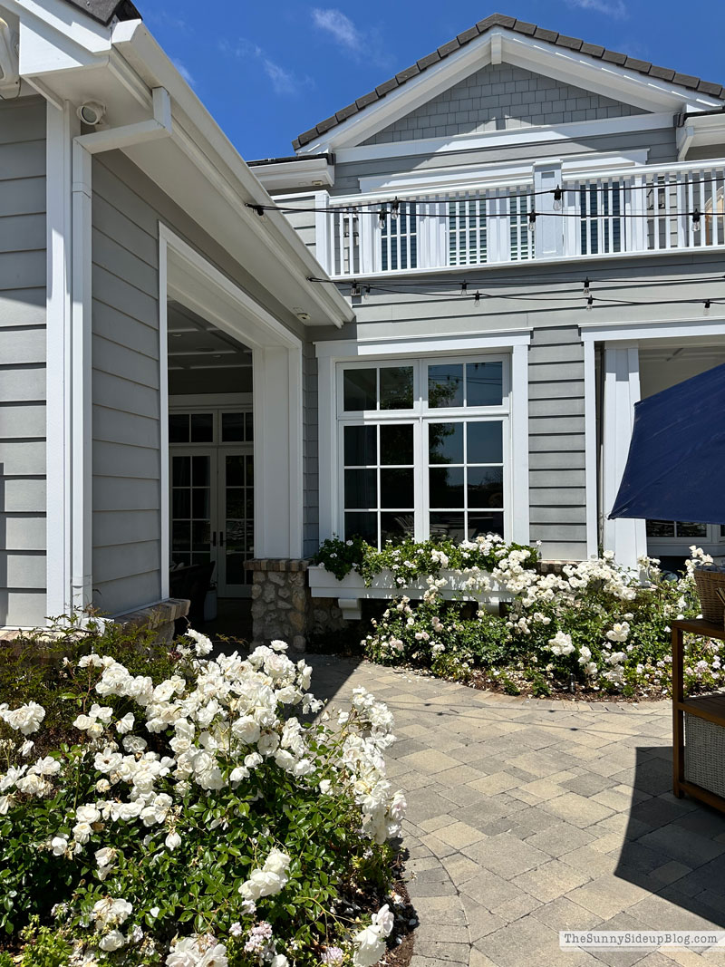 Summer Hosting (Sunny Side Up)