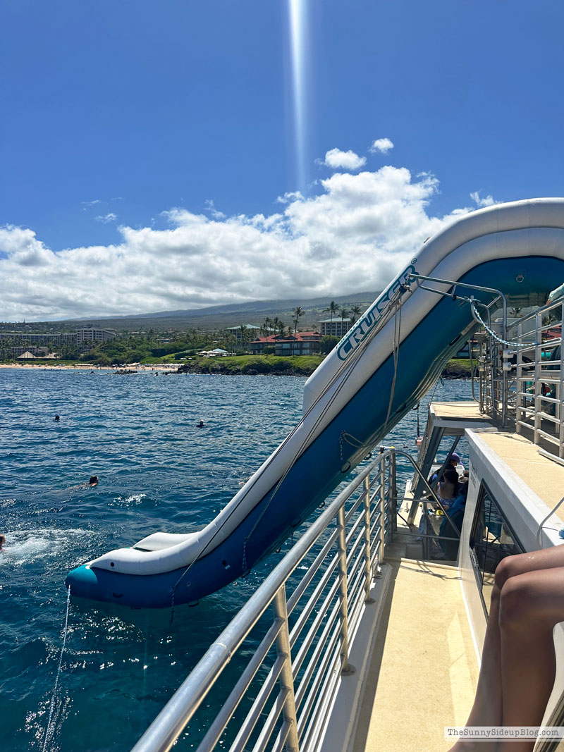 Maui 2025 (Sunny Side Up)