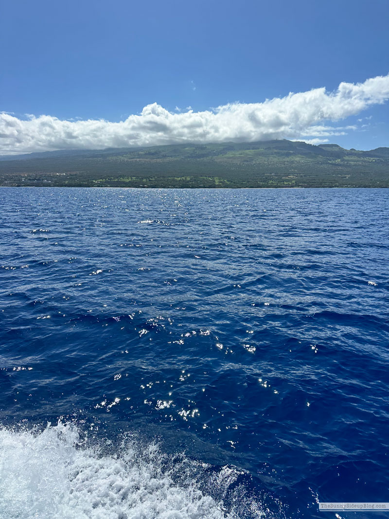 Maui 2025 (Sunny Side Up)