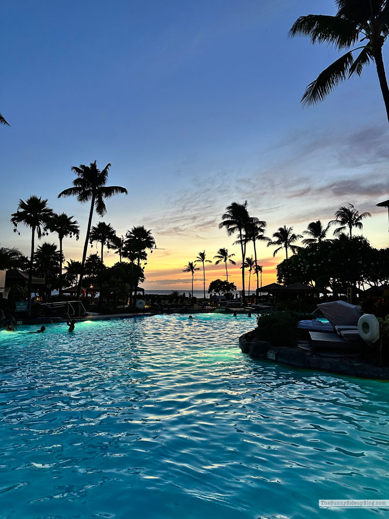 Maui 2025 (Sunny Side Up)