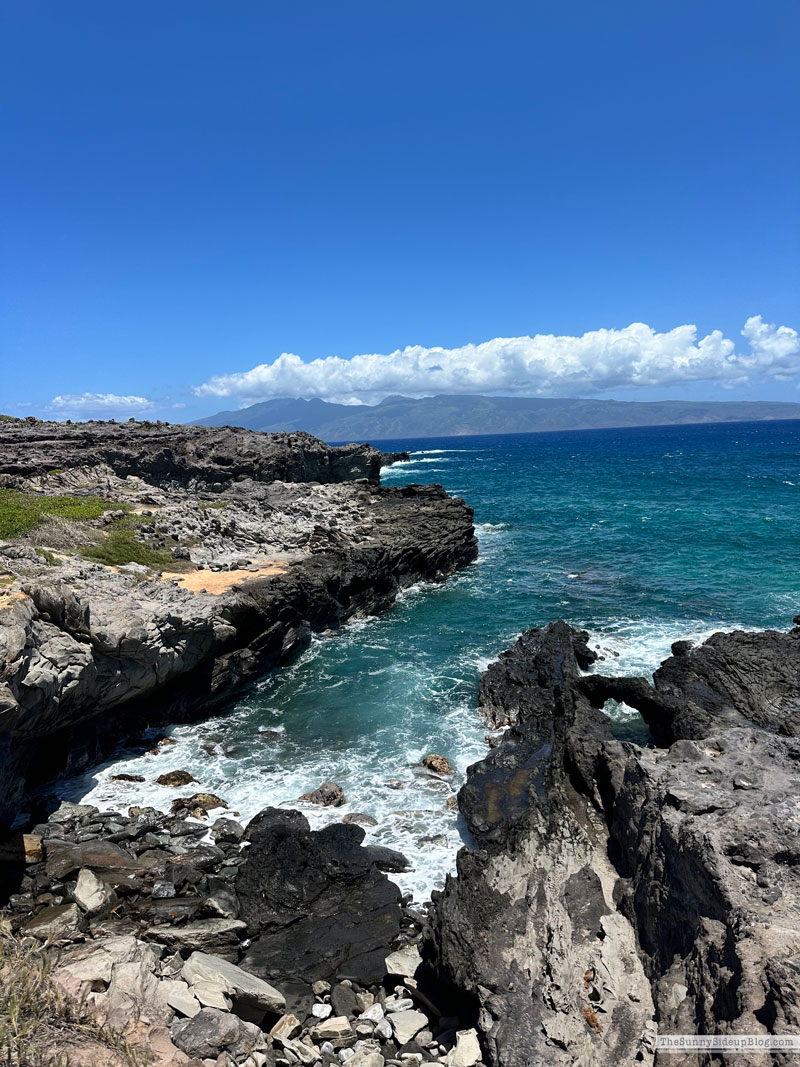 Maui 2025 (Sunny Side Up)