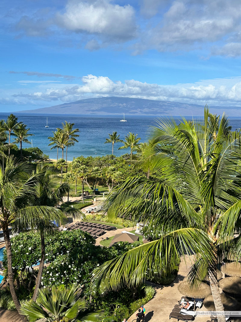 Maui 2025 (Sunny Side Up)