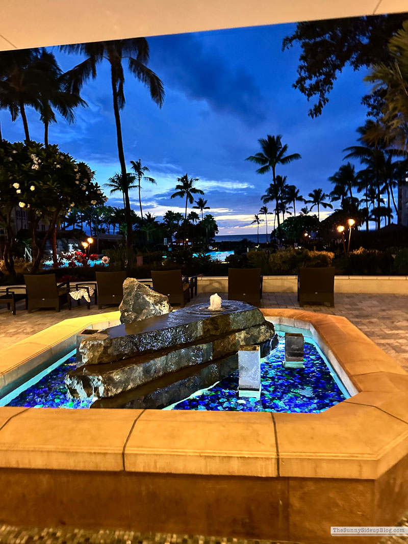 Maui 2025 (Sunny Side Up)