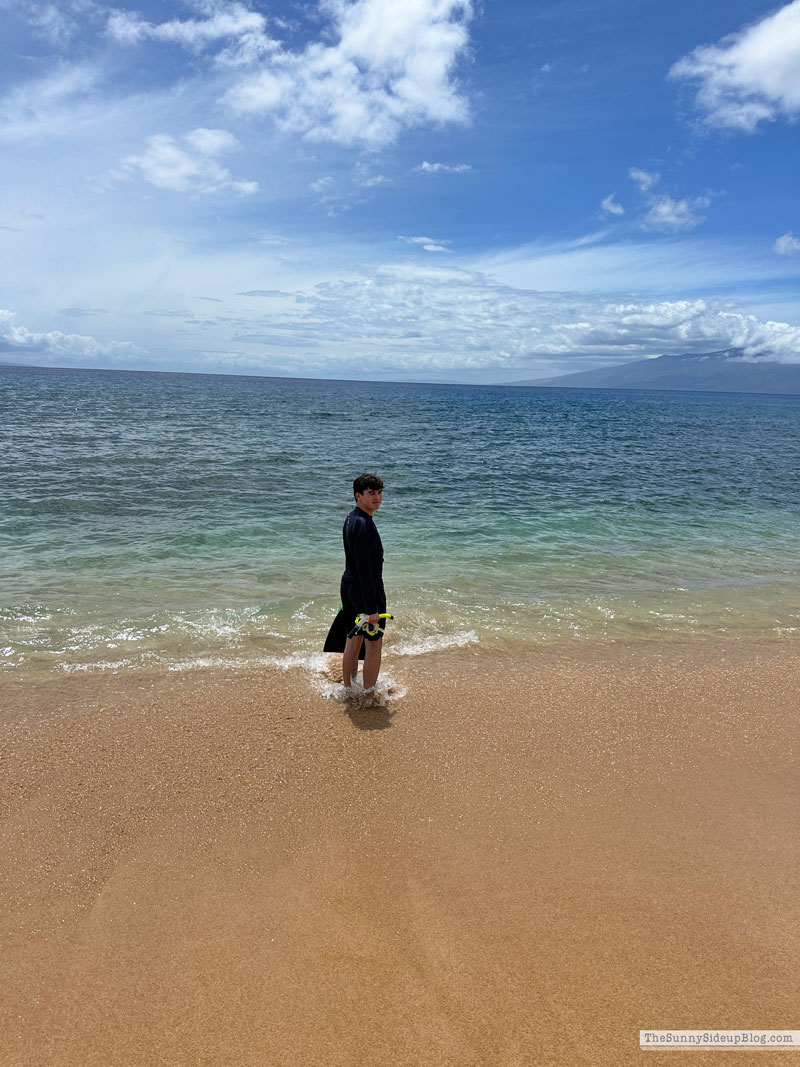 Maui 2025 (Sunny Side Up)