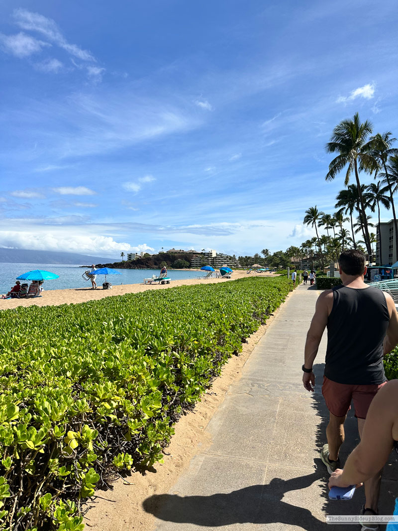 Maui 2025 (Sunny Side Up)